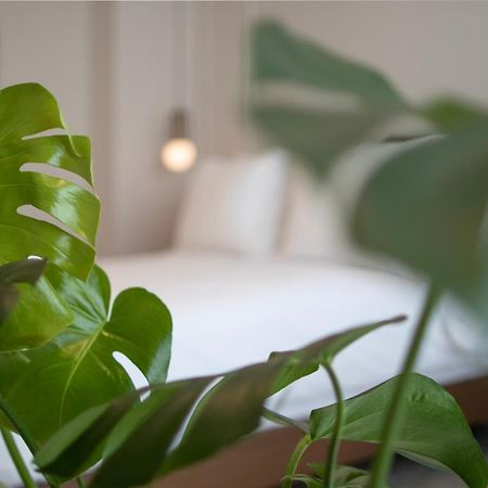 Mythodea Athens Suites Exteriér fotografie
